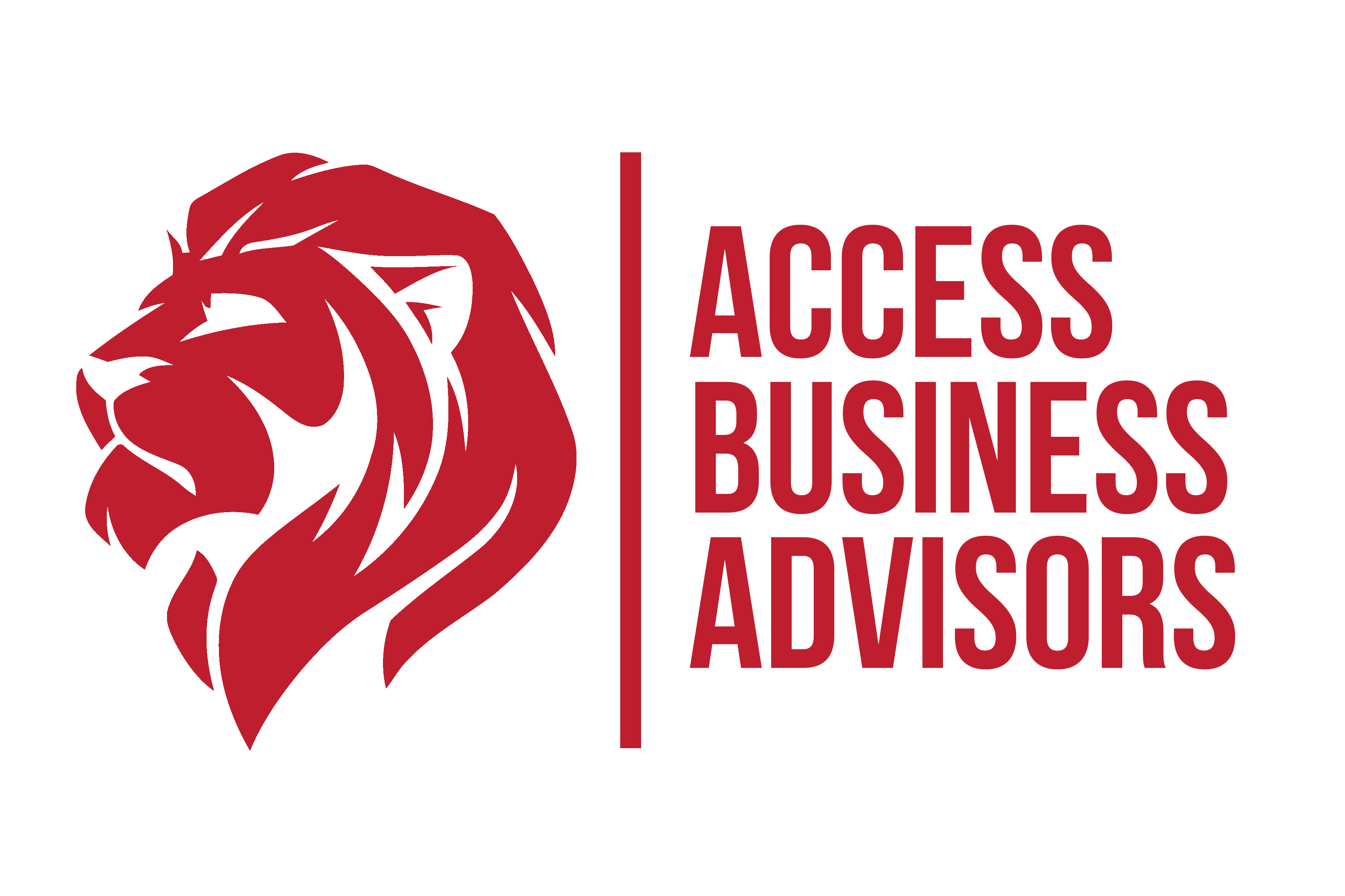 Access Business Advisors