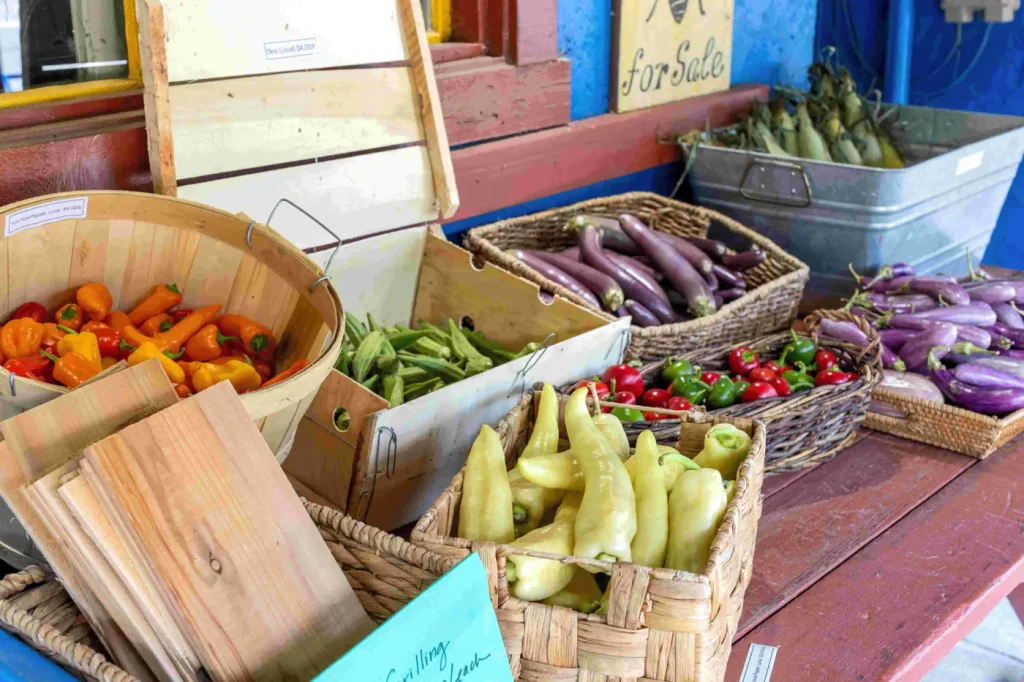 Profitable Farm-to-Table Market in Scenic Corridor